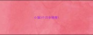 小猫3个月非常瘦
