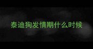 泰迪狗发情期什么时候