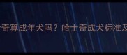 8个月大哈士奇算成年犬吗哈士奇成犬标准及饲养要点全