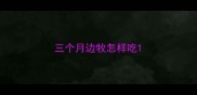 三个月边牧怎样吃