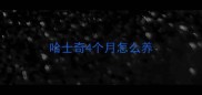 哈士奇4个月怎么养