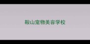鞍山宠物美容学校