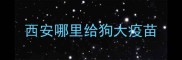 西安哪里给狗大疫苗