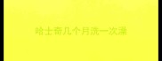 哈士奇几个月洗一次澡
