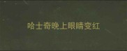 哈士奇晚上眼睛变红