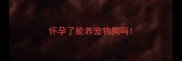 怀孕了能养宠物狗吗