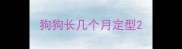 狗狗长几个月定型