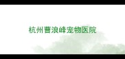 杭州曹浪峰宠物医院
