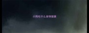 小狗吃什么食物健康
