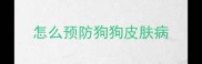 怎么预防狗狗皮肤病