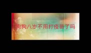 狗狗八岁不用打疫苗了吗