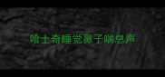 哈士奇睡觉鼻子喘息声