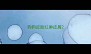 狗狗皮肤红肿皮屑
