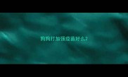 狗狗打加强疫苗好么