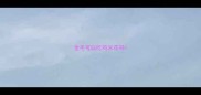 金毛可以吃鸡米花吗