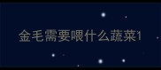 金毛需要喂什么蔬菜