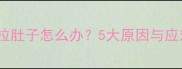 猫咪频繁拉肚子怎么办5大原因与应对措施全