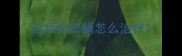 边牧的疥螨怎么治疗