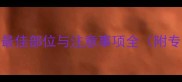 狗狗疫苗注射最佳部位与注意事项全附专业护理指南