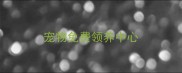 宠物免费领养中心