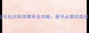 三个月大金毛幼犬科学喂养全攻略新手必看的高效育宠指南
