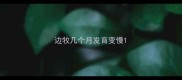 边牧几个月发育变慢