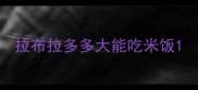 拉布拉多多大能吃米饭