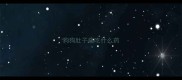 狗狗肚子痛吃什么药