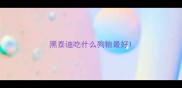 黑泰迪吃什么狗粮最好