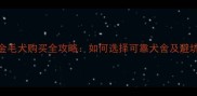 纯种金毛犬购买全攻略如何选择可靠犬舍及避坑指南