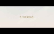 两个月萨摩耶玩具