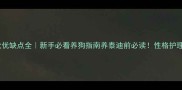 泰迪公犬vs母犬优缺点全新手必看养狗指南养泰迪前必读性格护理健康费用全对比
