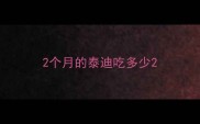 2个月的泰迪吃多少