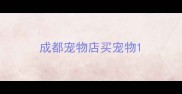 成都宠物店买宠物