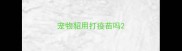宠物貂用打疫苗吗