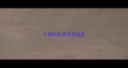 小猫先洗澡还是疫苗