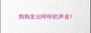 狗狗发出呼呼的声音