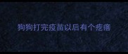 狗狗打完疫苗以后有个疙瘩