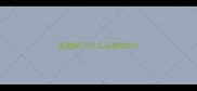 宠物剪刀什么品牌的好