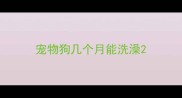 宠物狗几个月能洗澡