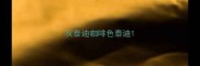 灰泰迪咖啡色泰迪