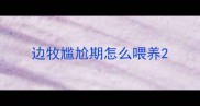 边牧尴尬期怎么喂养
