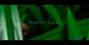 泰迪先打什么疫苗