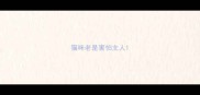 猫咪老是害怕主人