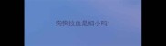 狗狗拉血是细小吗
