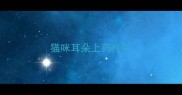 猫咪耳朵上药挣扎