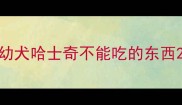 幼犬哈士奇不能吃的东西