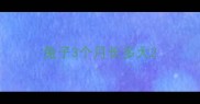 兔子3个月长多大