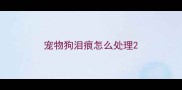 宠物狗泪痕怎么处理