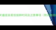 小狗犬瘟疫苗最佳接种时间及注意事项附详细流程